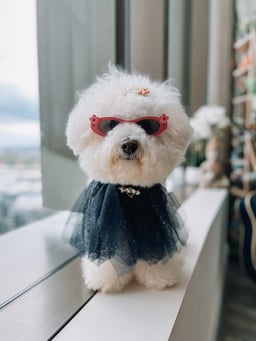 Monty Puff