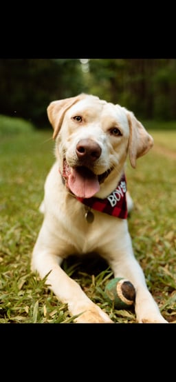 Koby