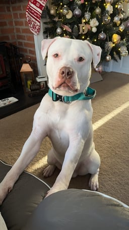 Roscoe