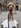 Profilbild von Creator 1
