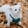Profilbild von Creator 2