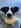 Profilbild von Creator 1