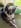 Profilbild von Creator 1