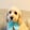 Profilbild von Creator 1
