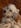 Profilbild von Creator 1