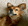 Creator avatar 1