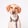 Foto del creator 1