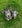 Profilbild von Creator 2