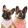 Profilbild von Creator 1