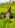 Profilbild von Creator 2
