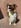 Profilbild von Creator 1