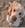 Profilbild von Creator 1
