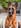 Profilbild von Creator 4