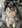 クリエイター3のプロフィール写真