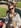 Profilbild von Creator 4