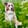 Profilbild von Creator 4