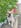 Profilbild von Creator 3