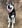 Profilbild von Creator 1