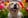 Profilbild von Creator 3