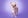 Profilbild von Creator 4