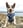 Profilbild von Creator 1