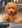 Profilbild von Creator 3