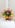 Profilbild von Creator 4