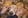 Profilbild von Creator 1