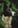 Profilbild von Creator 1