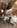クリエイター1のプロフィール写真