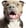 Profilbild von Creator 1