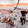 Profilbild von Creator 1
