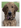 Profielfoto van creator 2