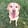 クリエイター1のプロフィール写真