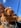 Profilbild von Creator 1