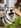 Profilbild von Creator 4