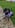 Profilbild von Creator 1