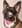 Profilbild von Creator 1