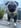 Profilbild von Creator 3