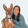 Profilbild von Creator 4