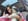 クリエイター1のプロフィール写真