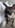 クリエイター2のプロフィール写真
