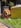 Profilbild von Creator 2