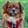 Profilbild von Creator 2