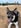 Profilbild von Creator 4