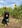 Profilbild von Creator 1