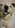 Profilbild von Creator 1