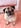 Profilbild von Creator 1