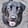 Profilbild von Creator 2