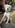 クリエイター4のプロフィール写真